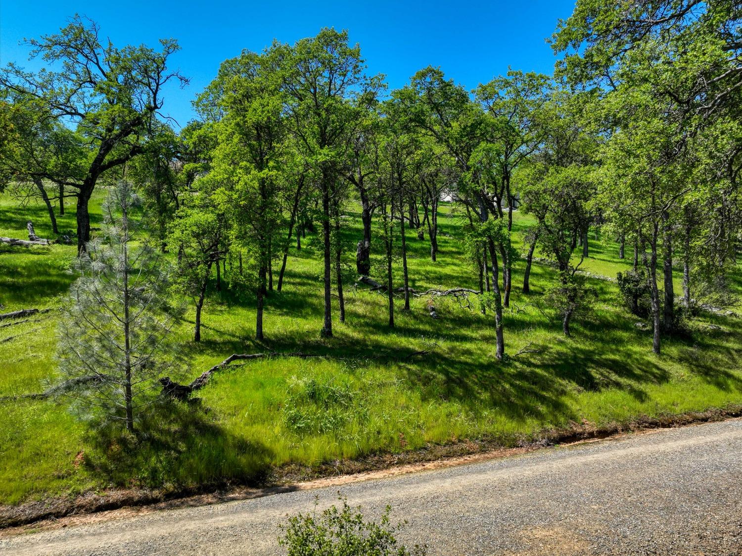 Breese Circle, El Dorado Hills, California image 13