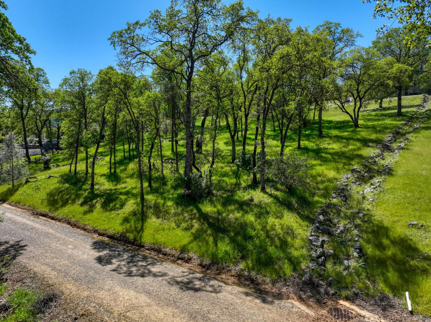 Breese Circle, El Dorado Hills, California image 12