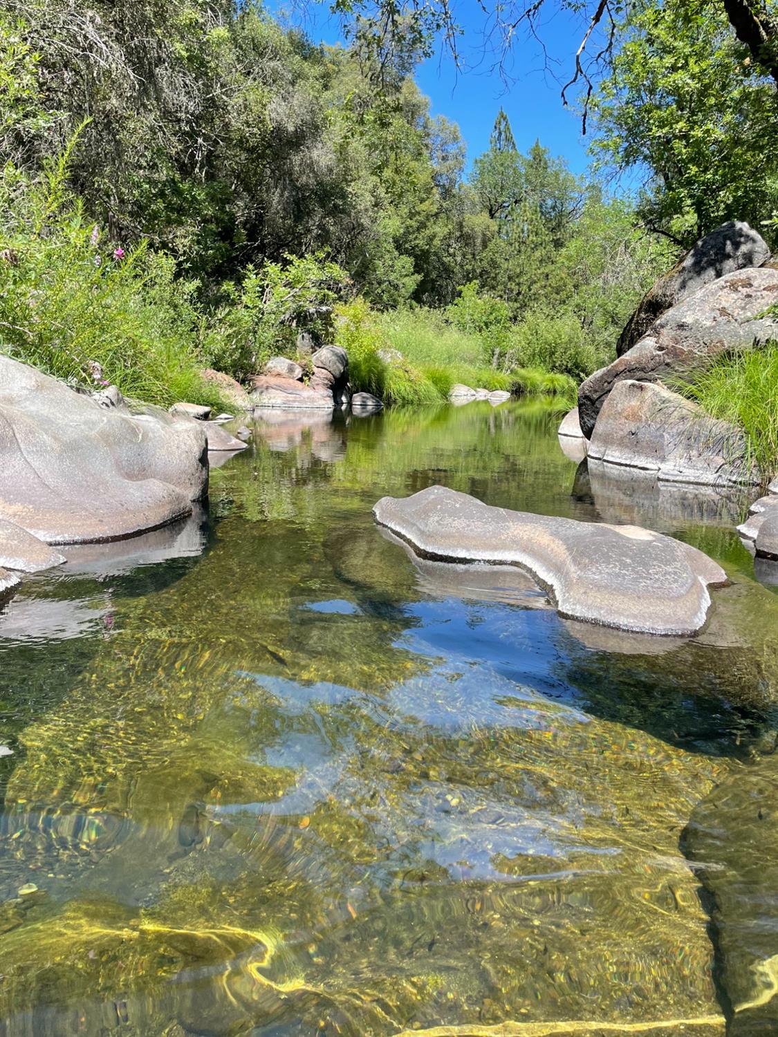 Emigrant Trail, River Pines, California image 1