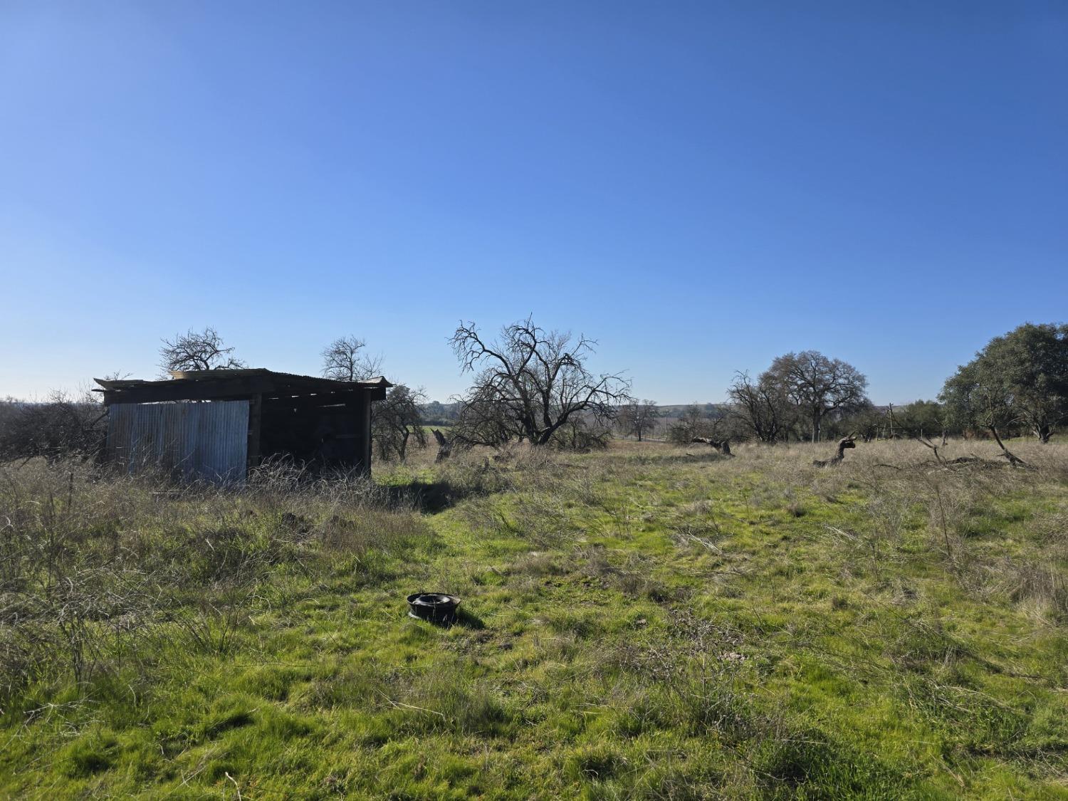 Orange Blossom Road, Oakdale, California image 3