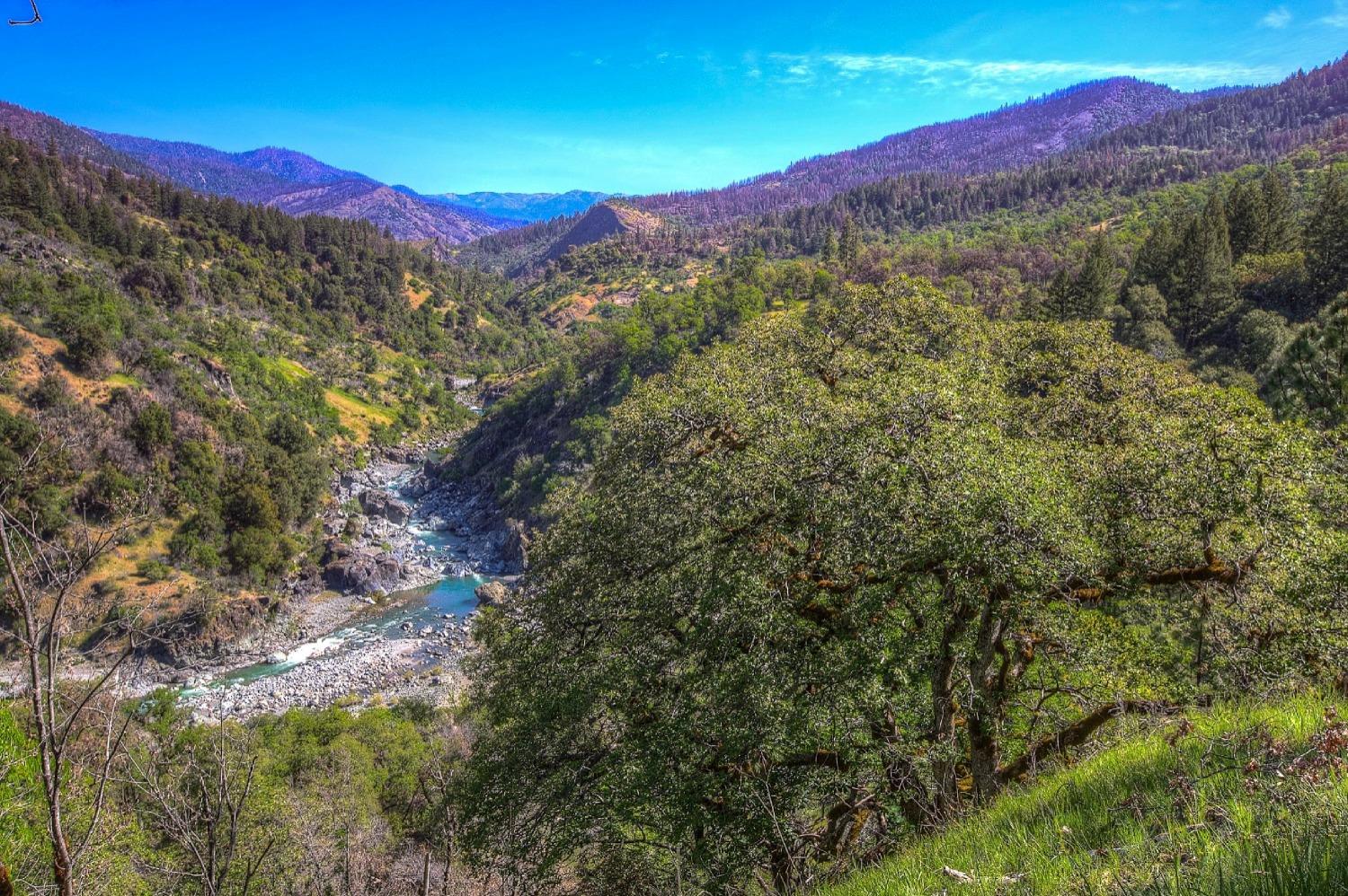 Sunflower Jeep Trail, Red Bluff, California image 7