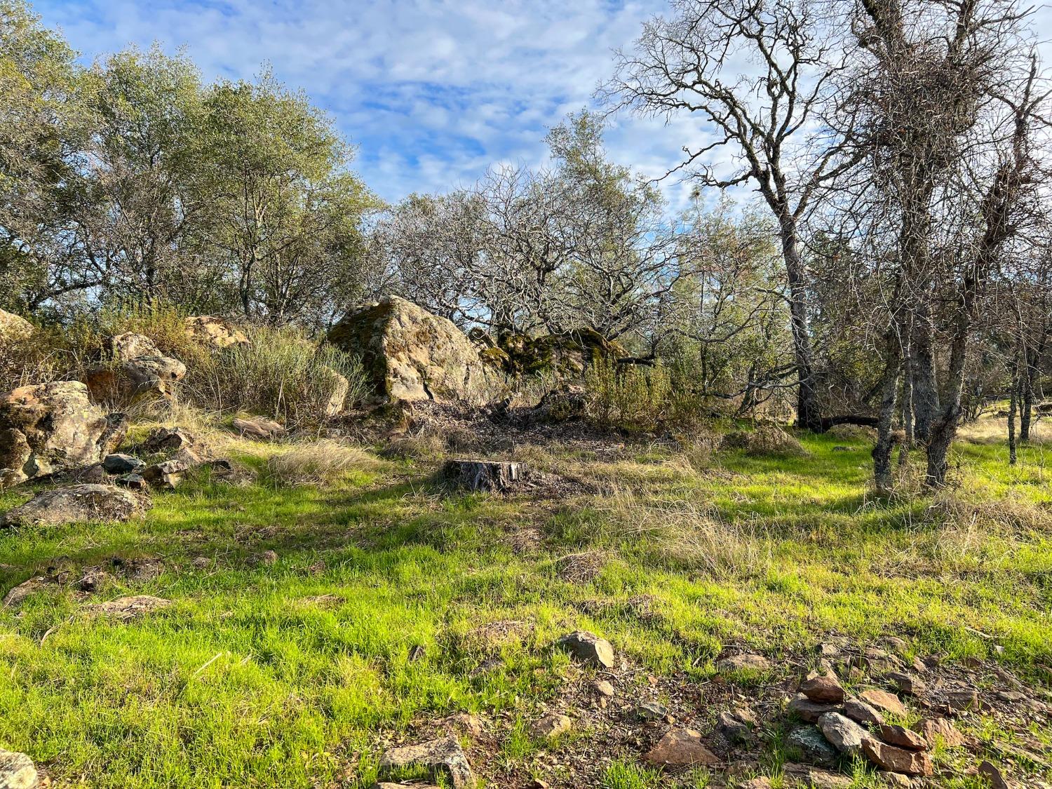 Crystal Boulevard, El Dorado, California image 8