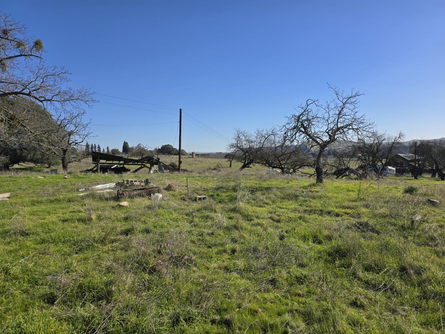 Orange Blossom Road, Oakdale, California image 6