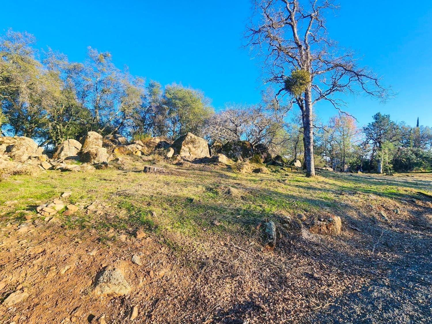 Crystal Boulevard, El Dorado, California image 7