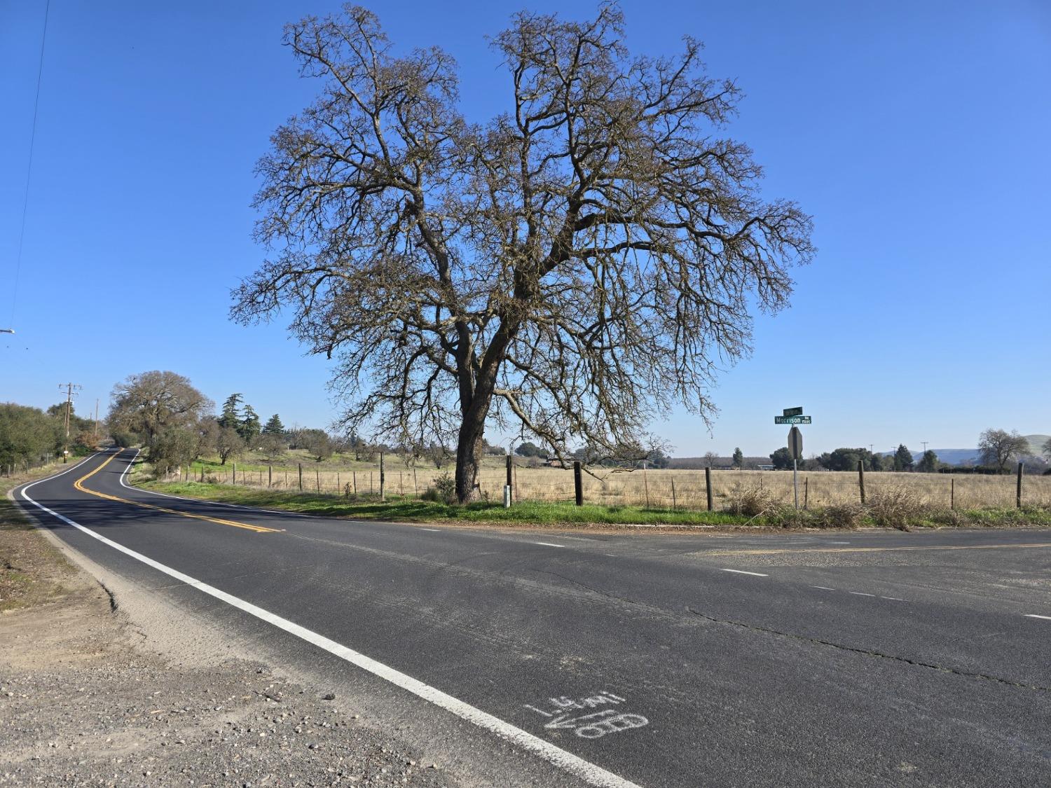 Orange Blossom Road, Oakdale, California image 10