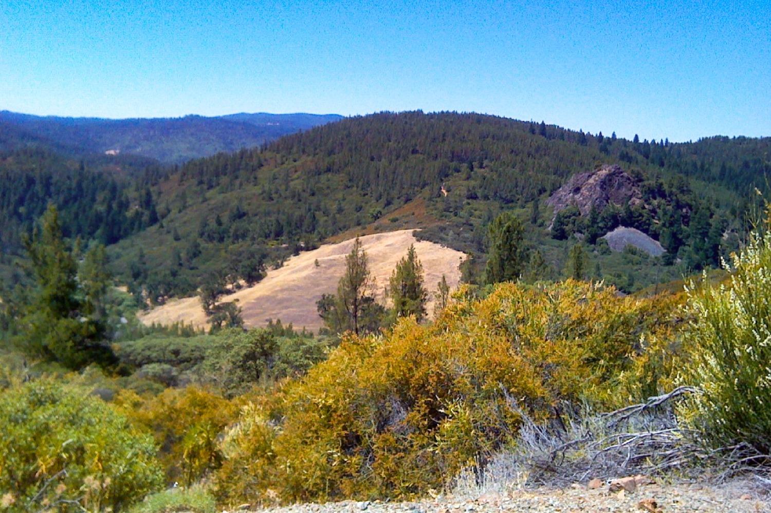 Sunflower Jeep Trail, Red Bluff, California image 8