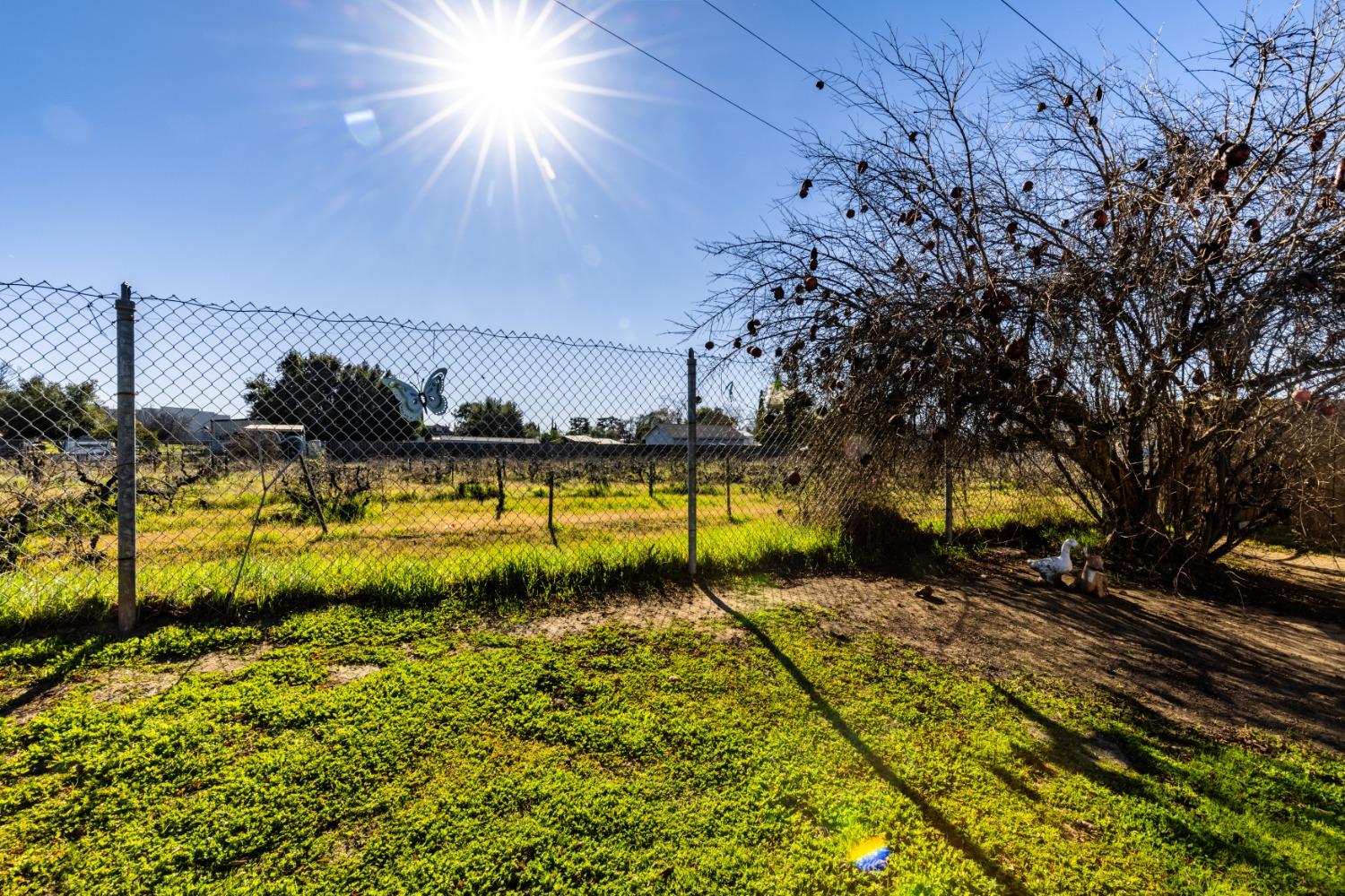 Veronica Court, Antioch, California image 18