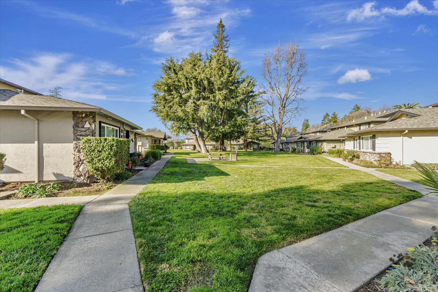 Mohr Lane #B, Concord, California image 31