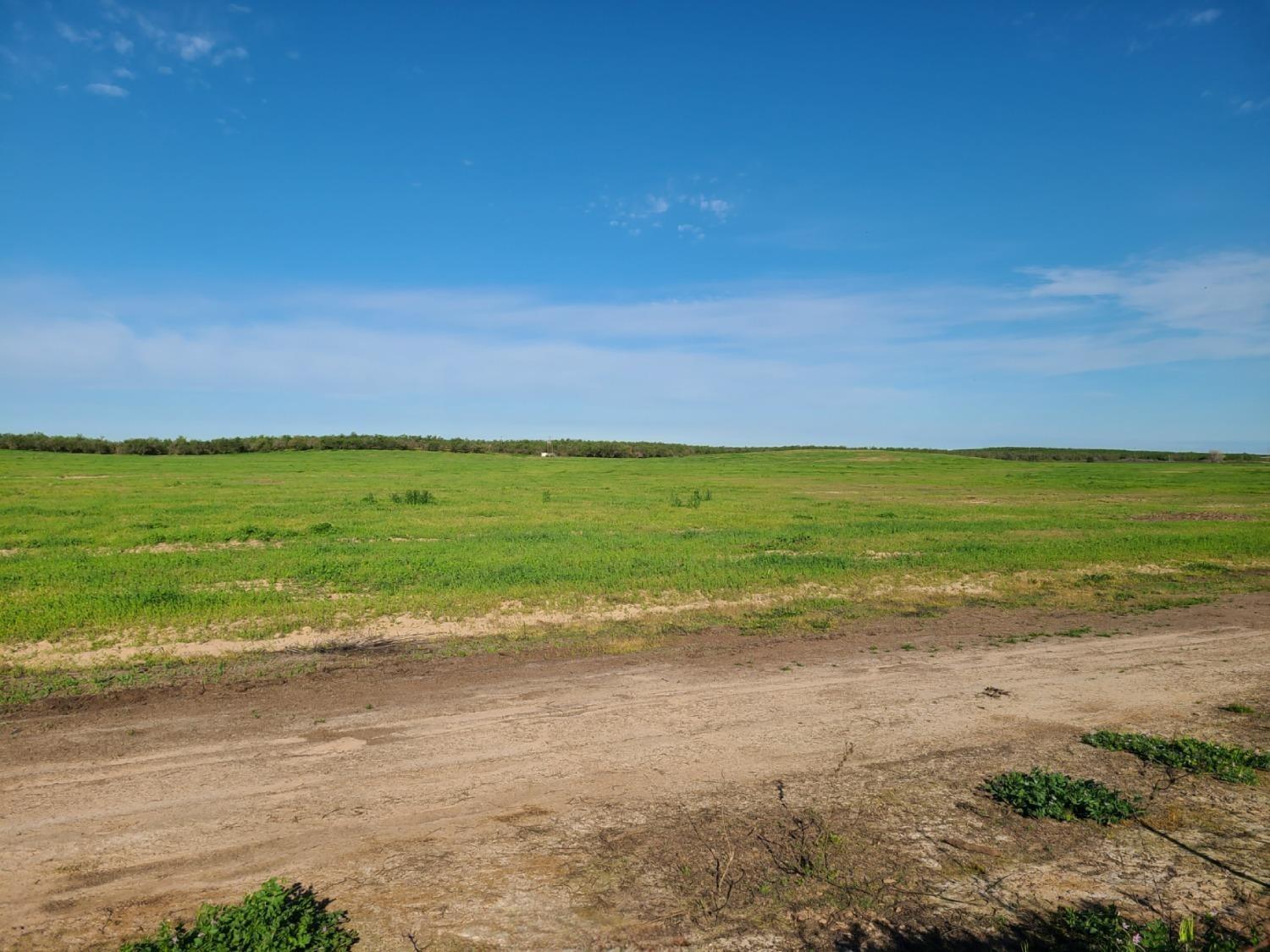 Meikle Road, Hickman, California image 4