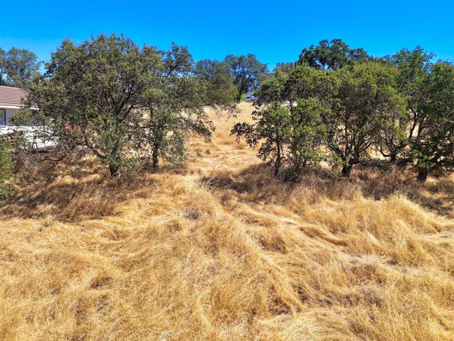 Quail Hill Road, Copperopolis, California image 14