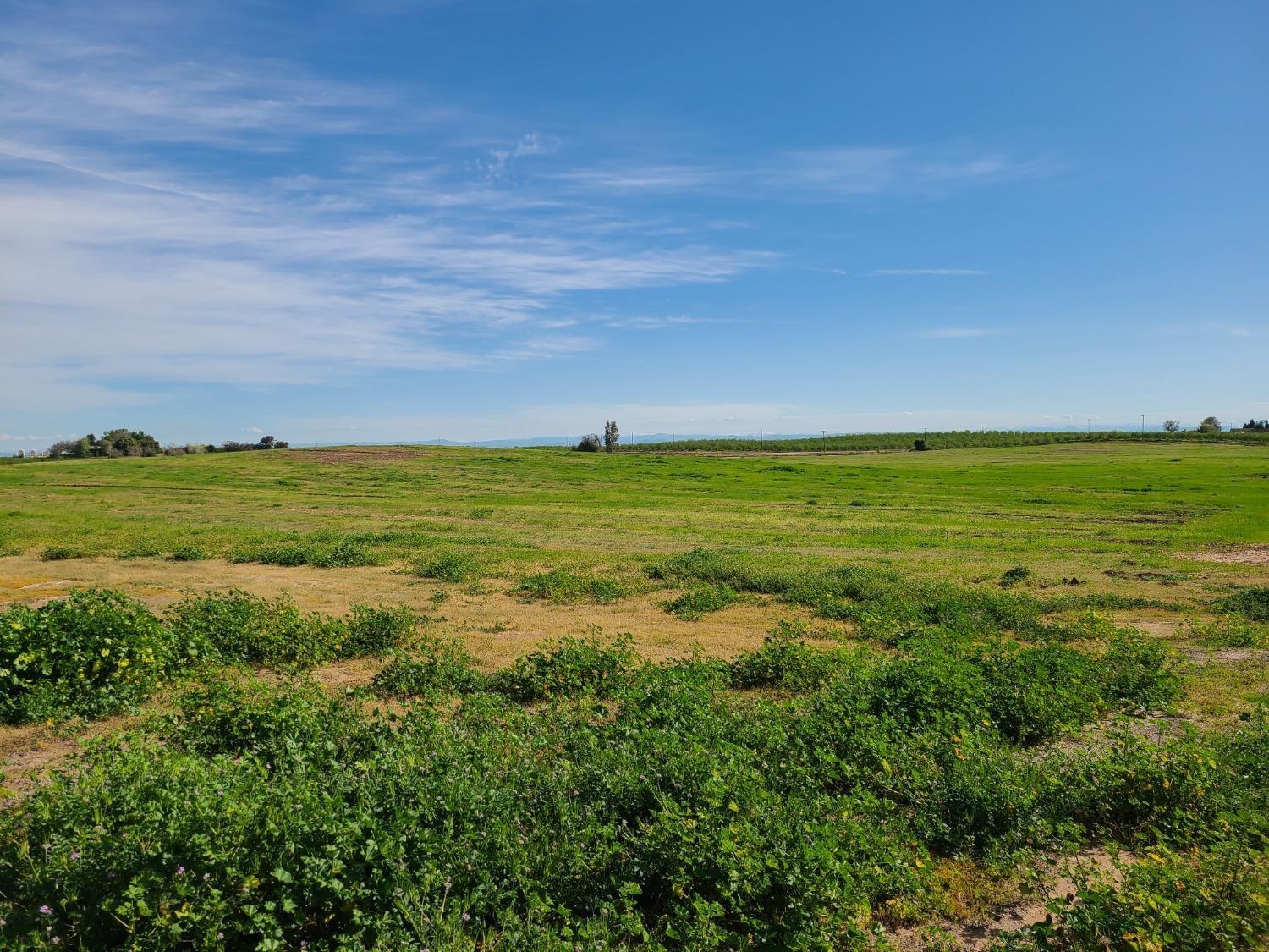 Meikle Road, Hickman, California image 10