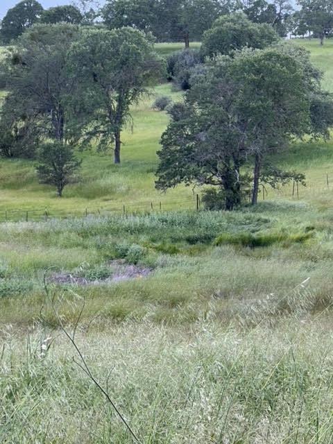 Limestone Drive, Wallace, California image 7