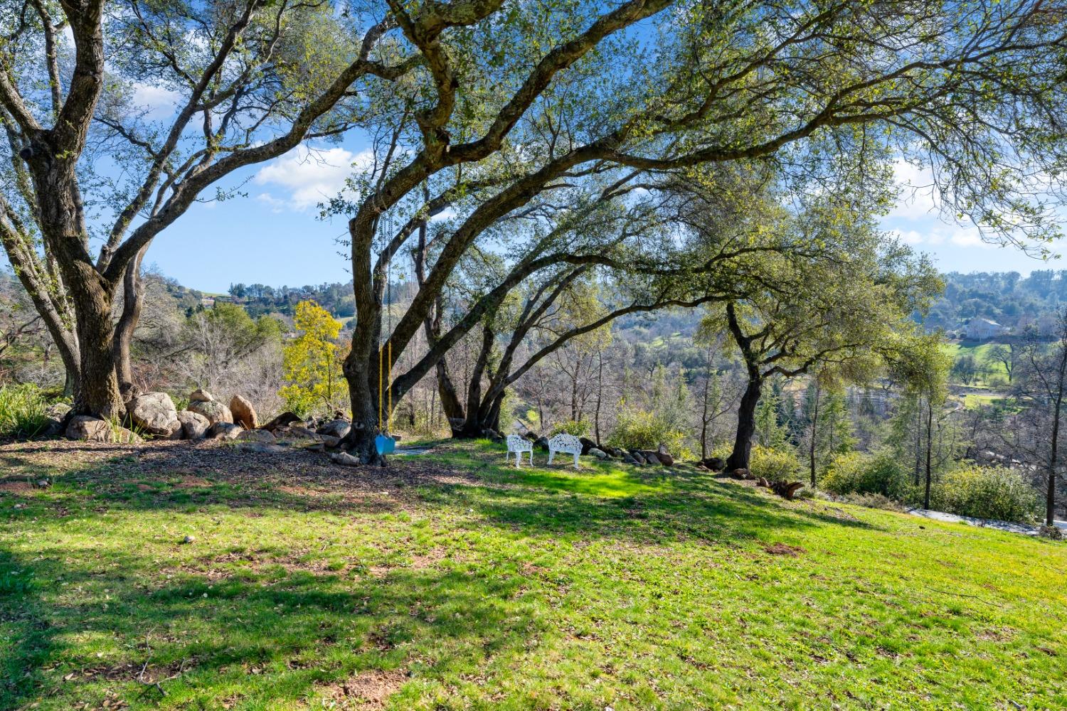 Autumn Wind Court, Newcastle, California image 46