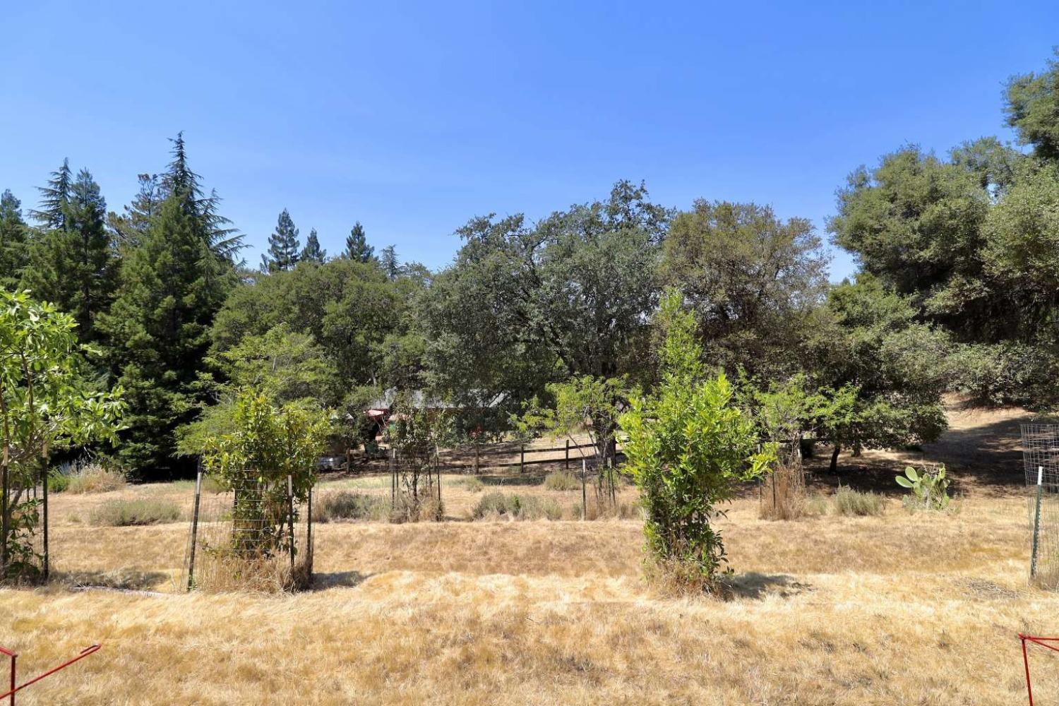 Maydress Court, Cool, California image 20