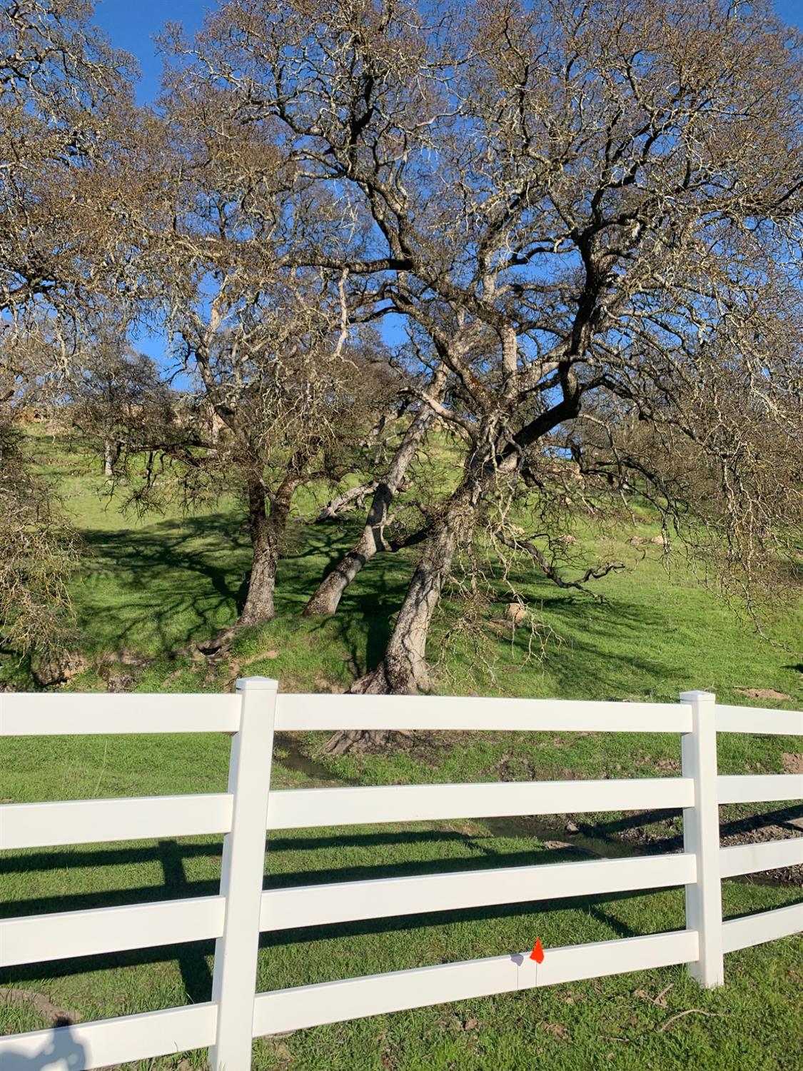 Nice Court, La Grange, California image 6