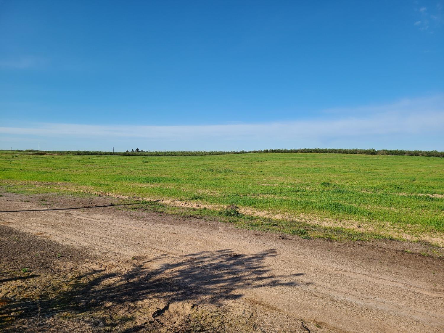 Meikle Road, Hickman, California image 5