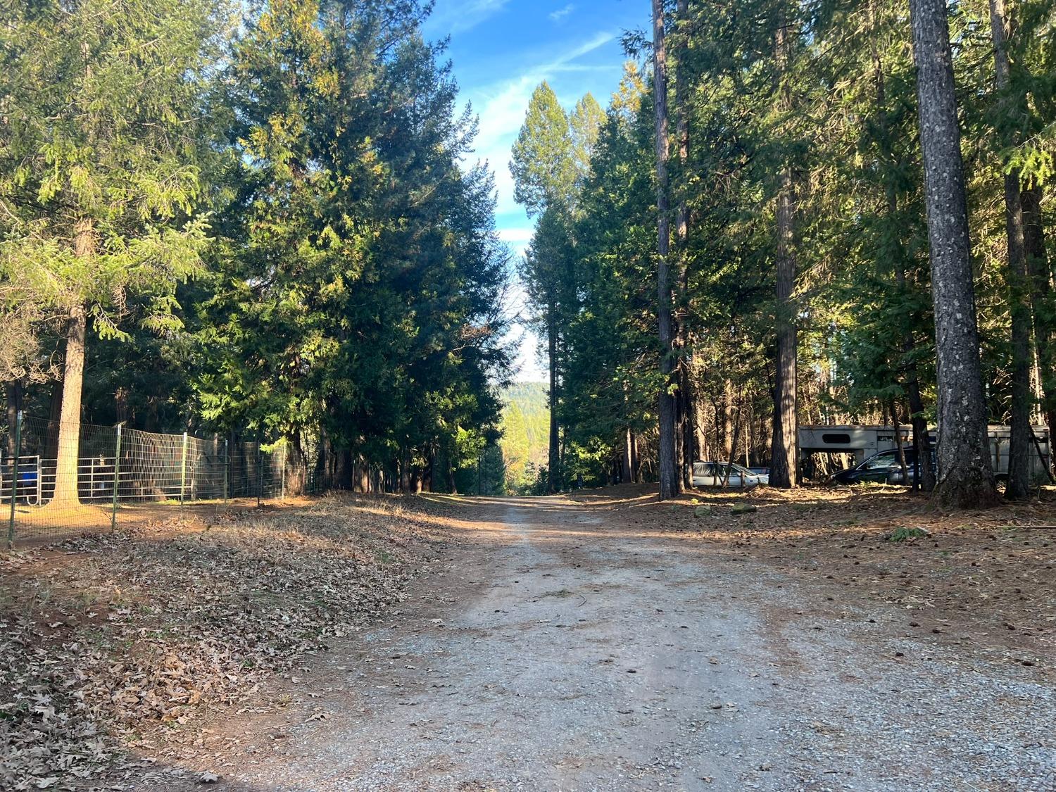 Acres Oso Mesa Ct Lot 24, Georgetown, California image 13