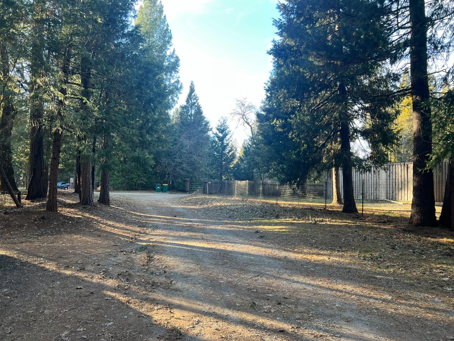 Acres Oso Mesa Ct Lot 24, Georgetown, California image 10