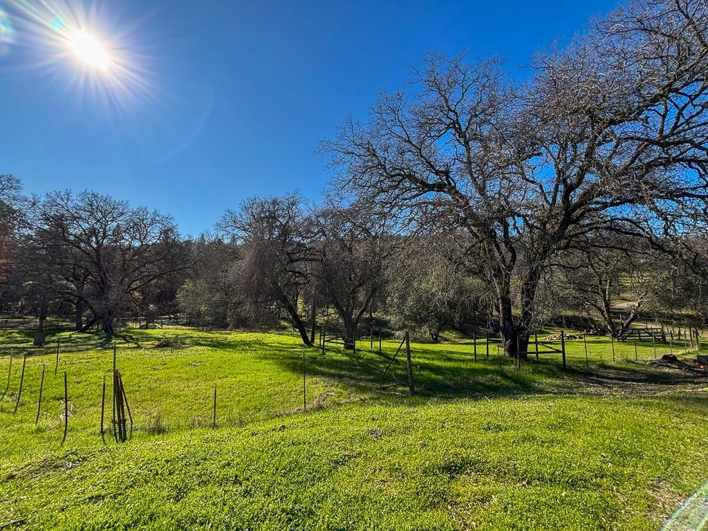 Detail Gallery Image 48 of 79 For 5421 Meadow Croft Ln, Pilot Hill,  CA 95664 - 3 Beds | 2/1 Baths