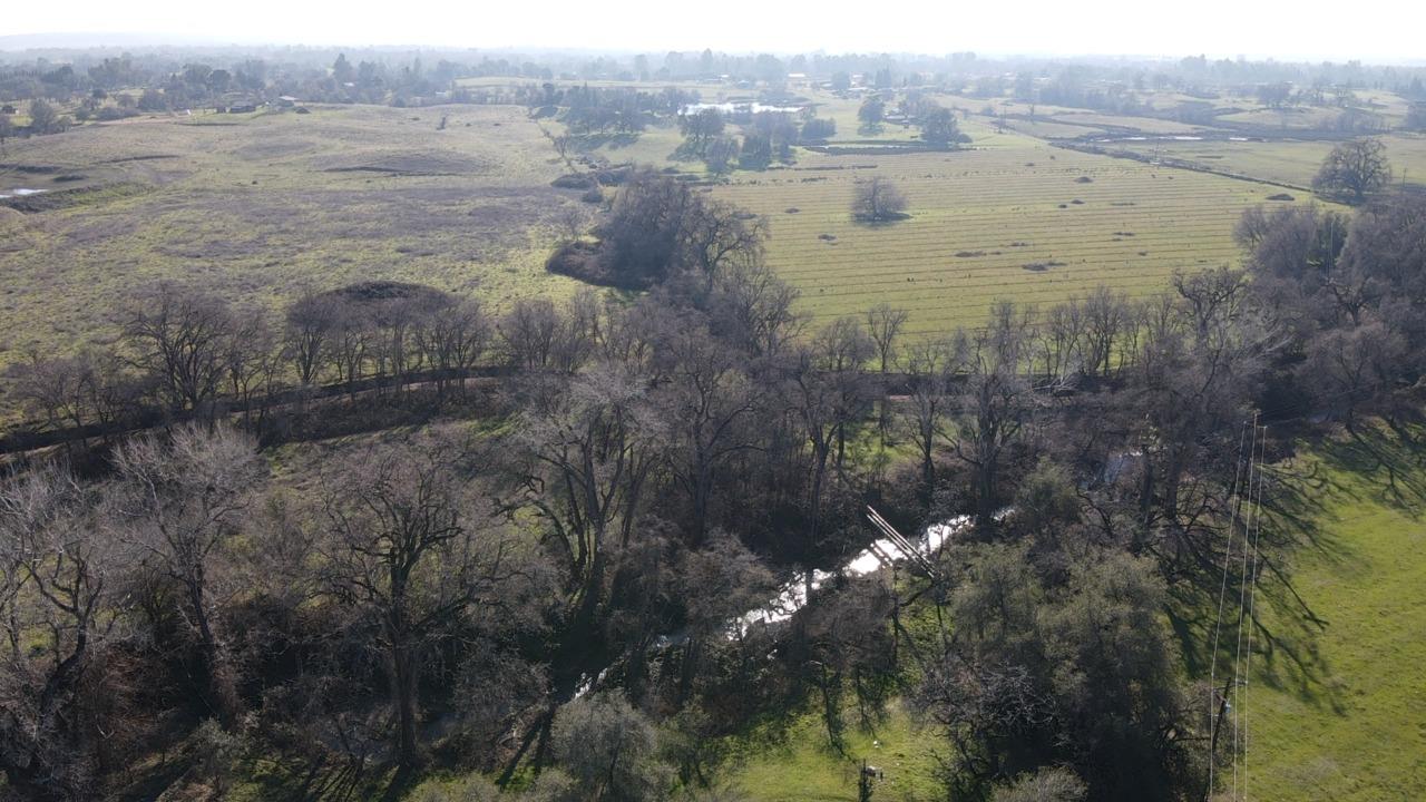 Wise Road, Lincoln, California image 5