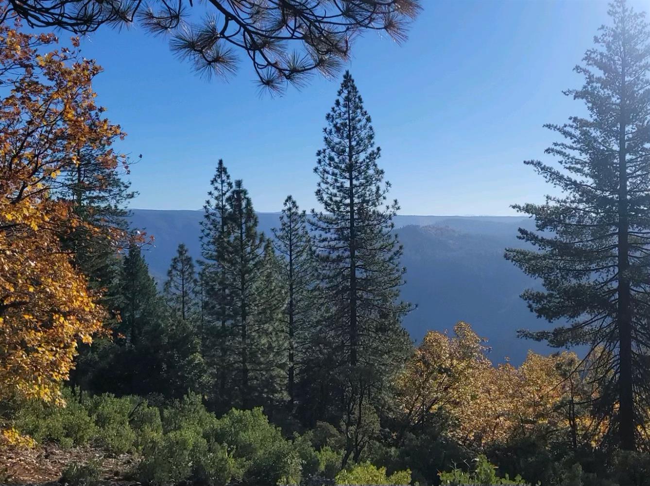 Green Valley Rd., Alta, California image 1