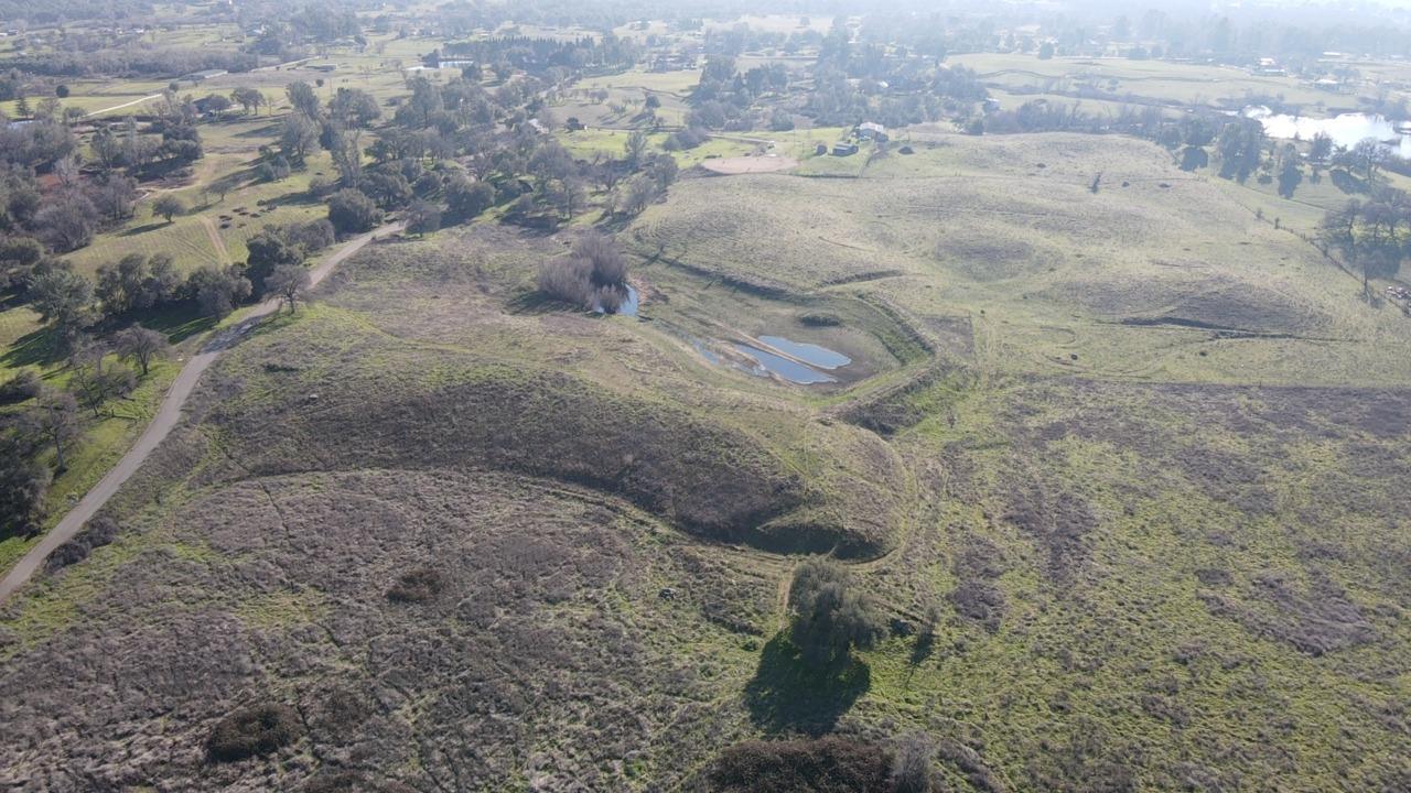 Wise Road, Lincoln, California image 9