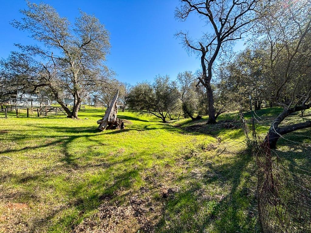 Detail Gallery Image 56 of 79 For 5421 Meadow Croft Ln, Pilot Hill,  CA 95664 - 3 Beds | 2/1 Baths