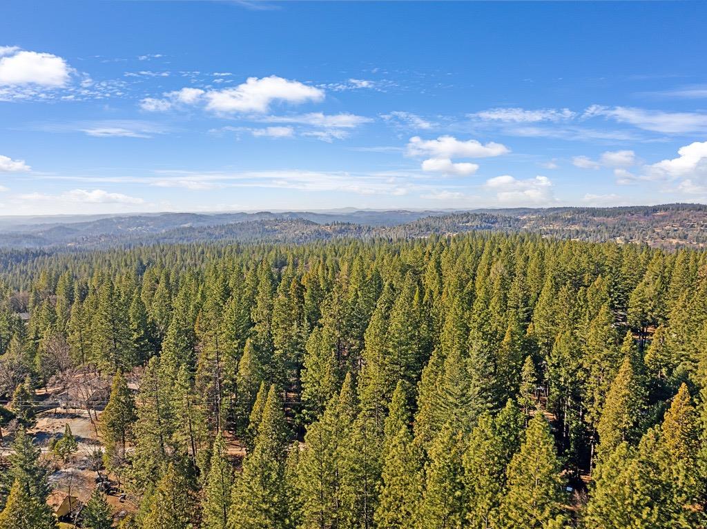 Fallen Oak Trail, Pollock Pines, California image 3