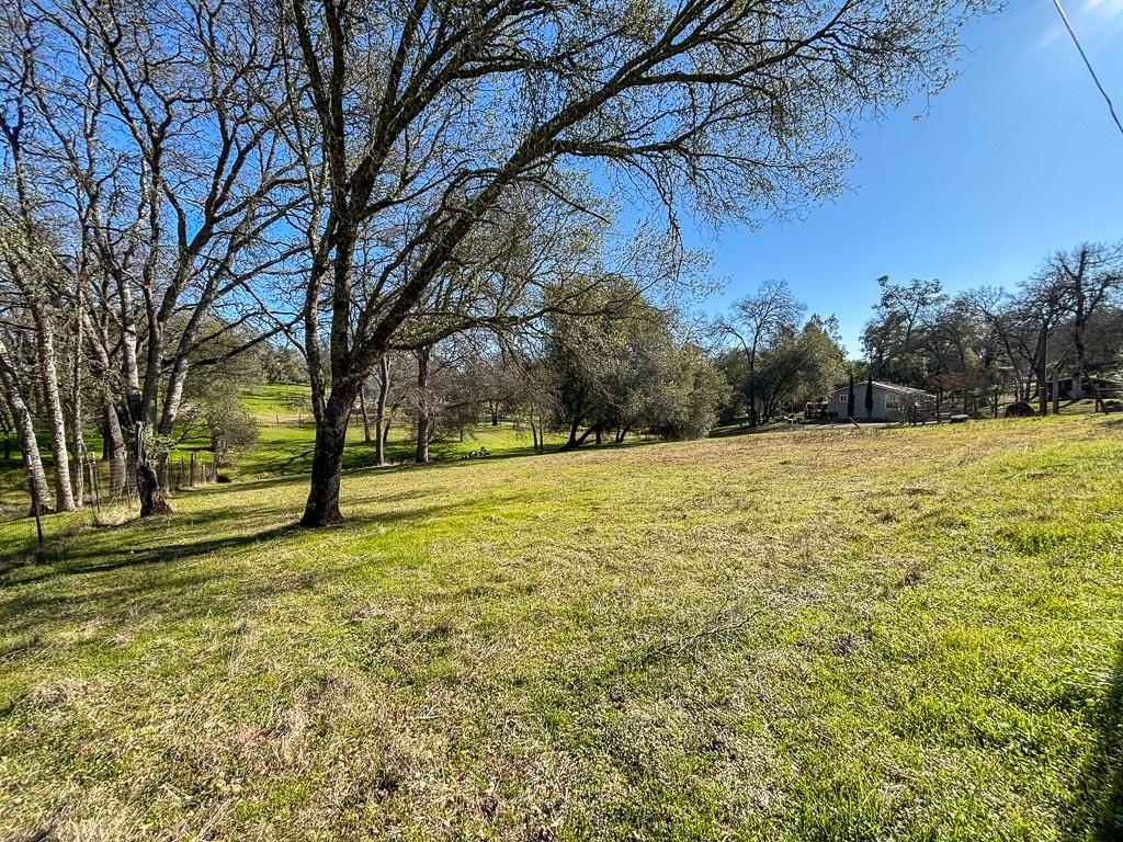 Detail Gallery Image 58 of 79 For 5421 Meadow Croft Ln, Pilot Hill,  CA 95664 - 3 Beds | 2/1 Baths