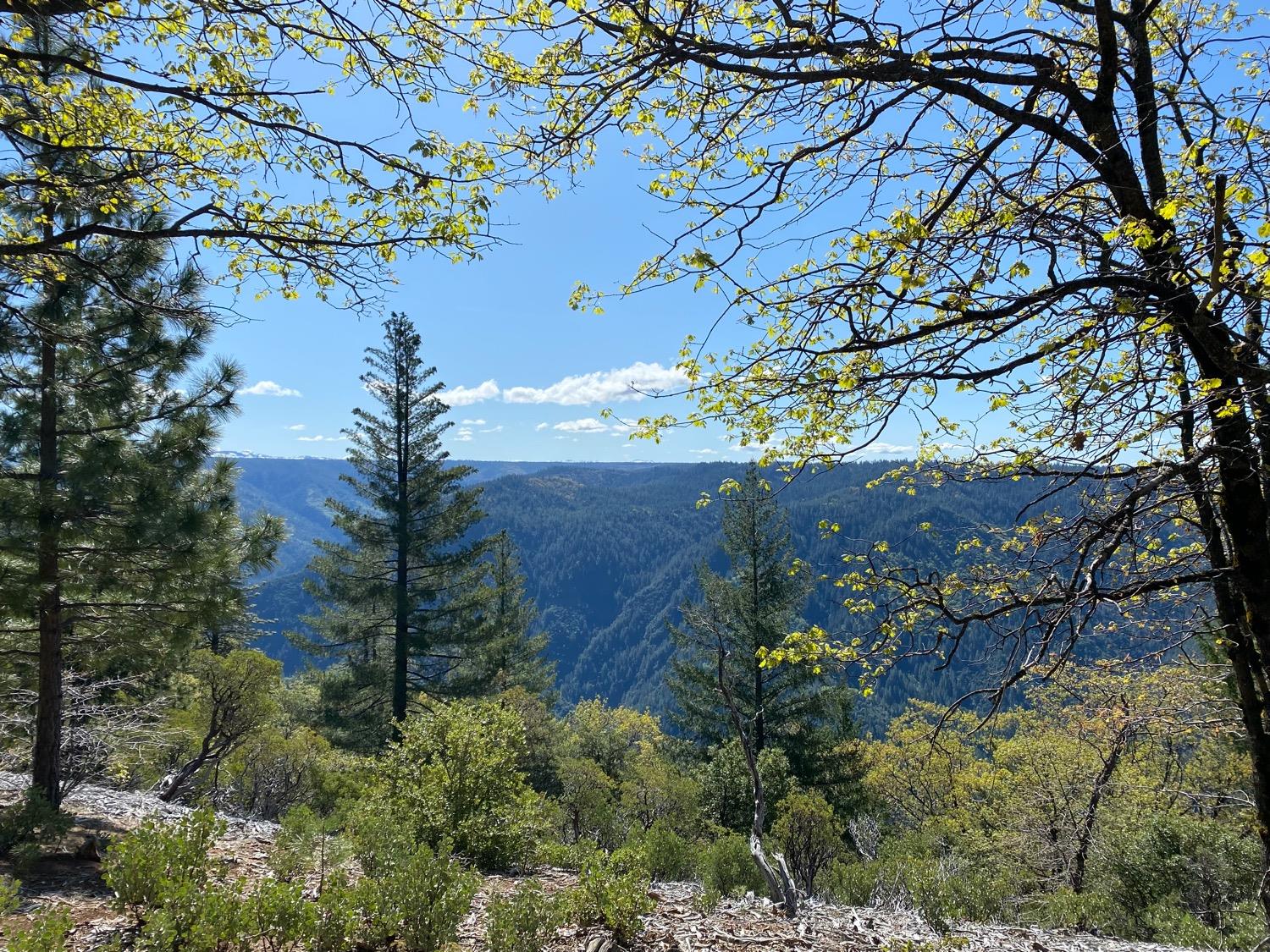 Green Valley Rd., Alta, California image 2