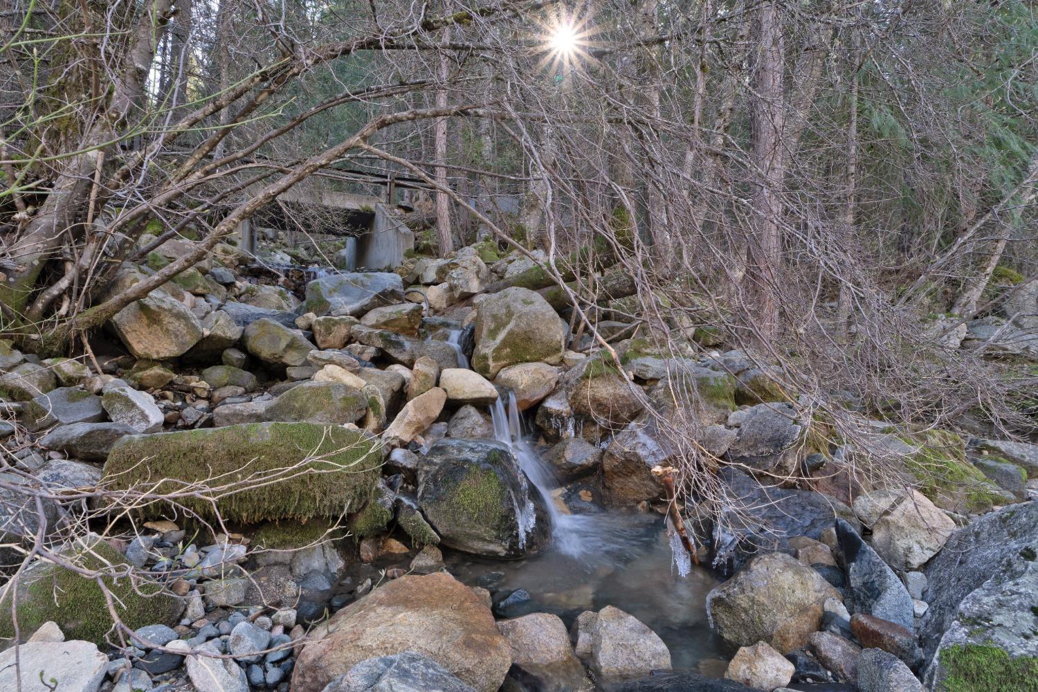 Bull Creek Road, Pollock Pines, California image 9