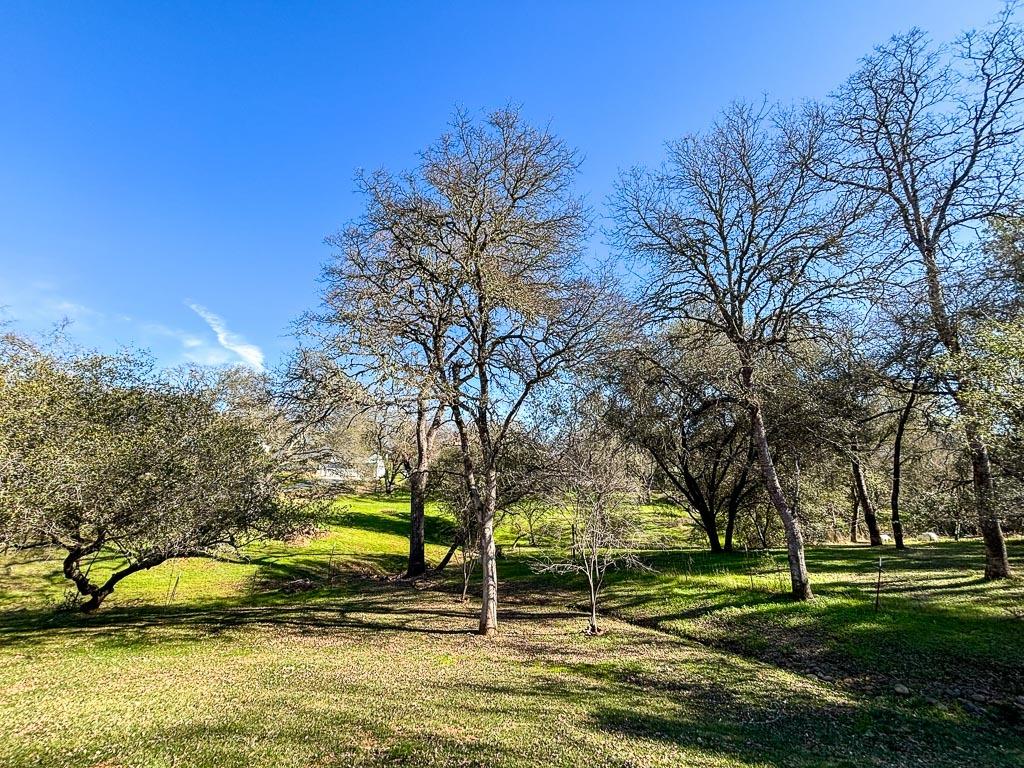 Detail Gallery Image 79 of 79 For 5421 Meadow Croft Ln, Pilot Hill,  CA 95664 - 3 Beds | 2/1 Baths