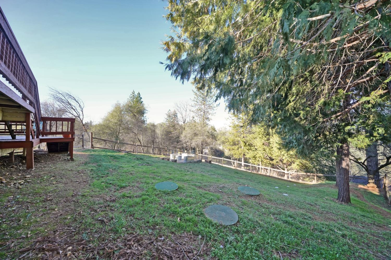 Pepper Boy Court, Cool, California image 32