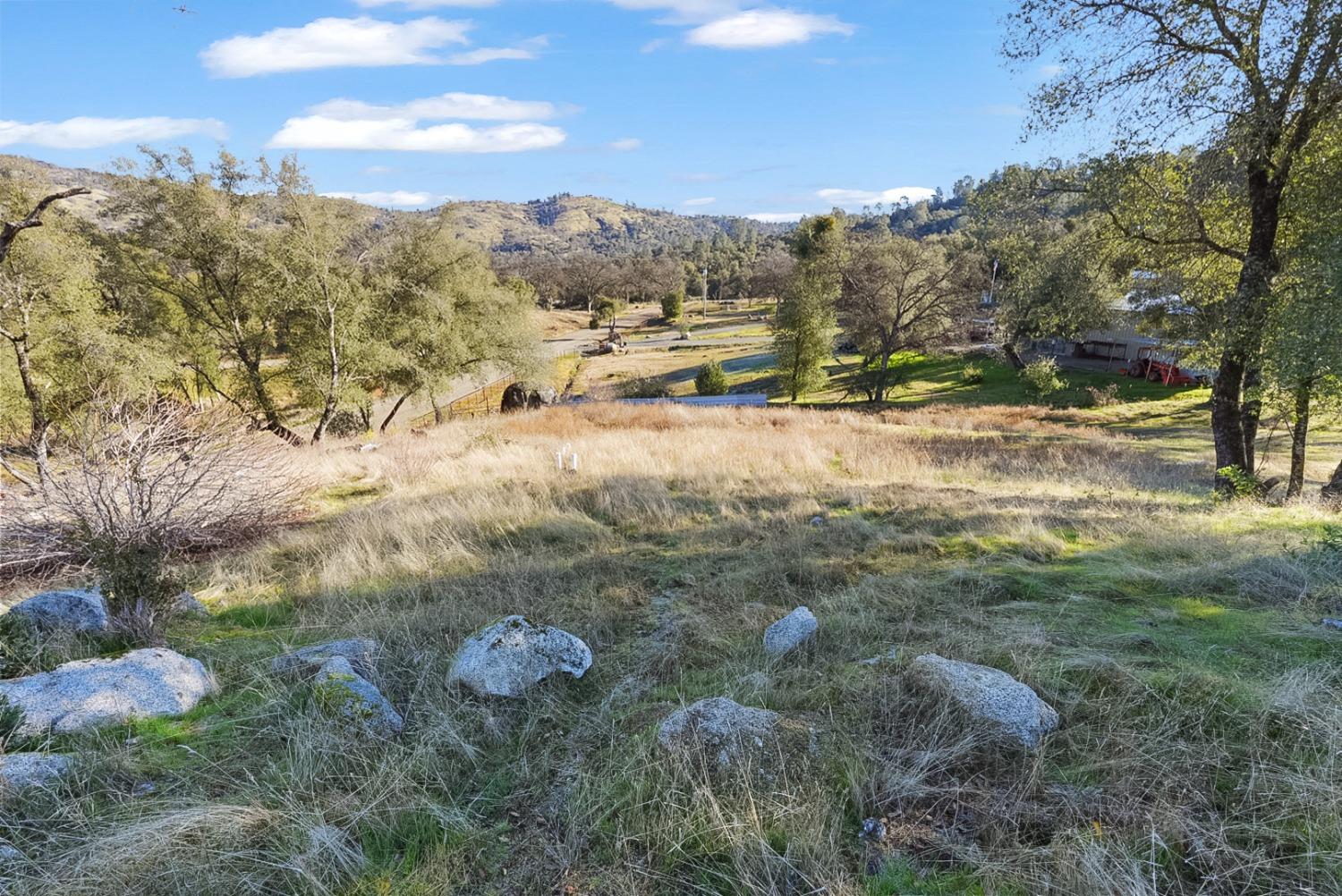 Blue Bonnet Lane, Mariposa, California image 21