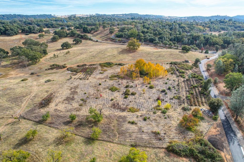 Mother Lode Drive, Placerville, California image 18