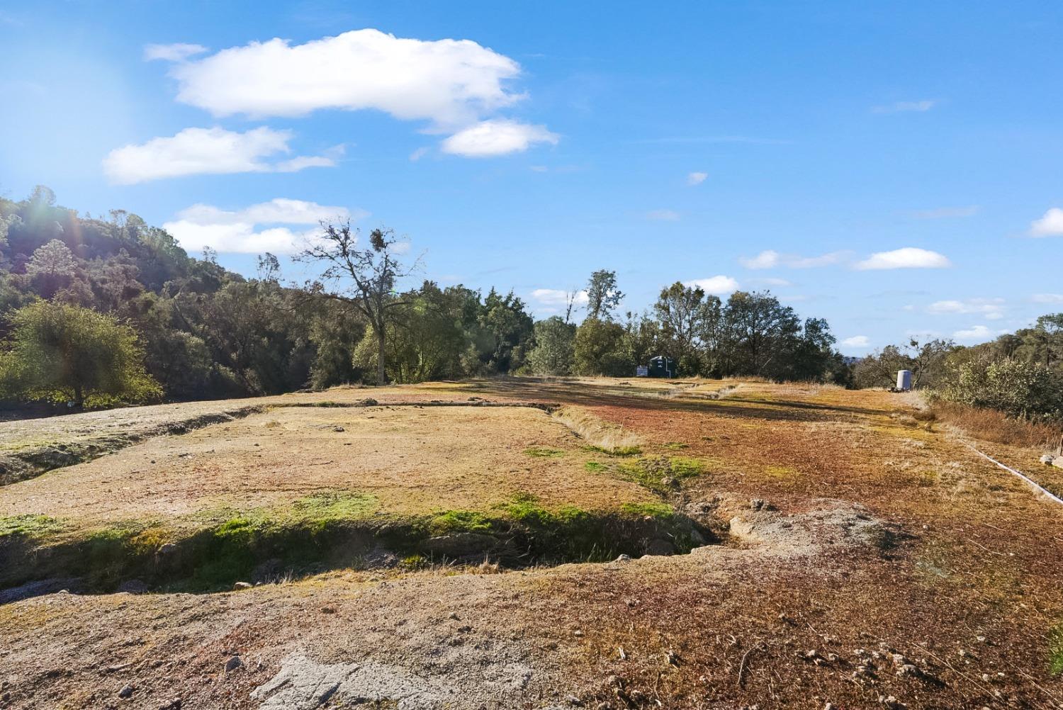 Blue Bonnet Lane, Mariposa, California image 34