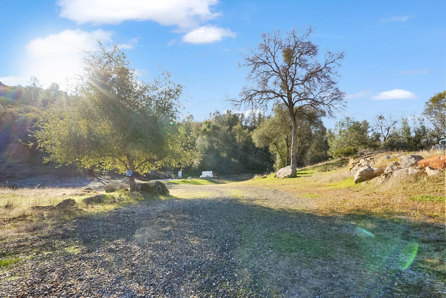 Blue Bonnet Lane, Mariposa, California image 32