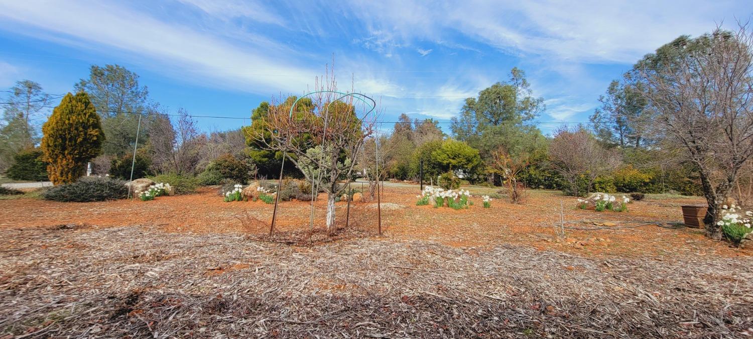 Joy Lane, Shingle Springs, California image 7