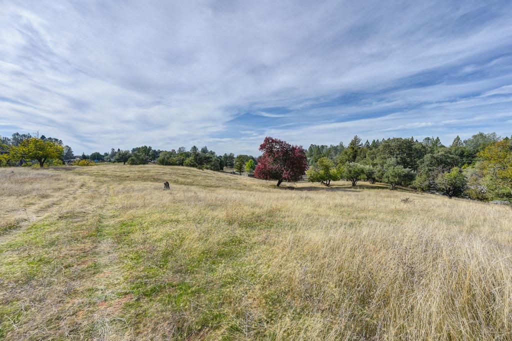 Mother Lode Drive, Placerville, California image 38