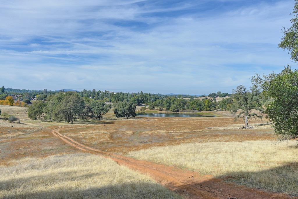 Mother Lode Drive, Placerville, California image 28