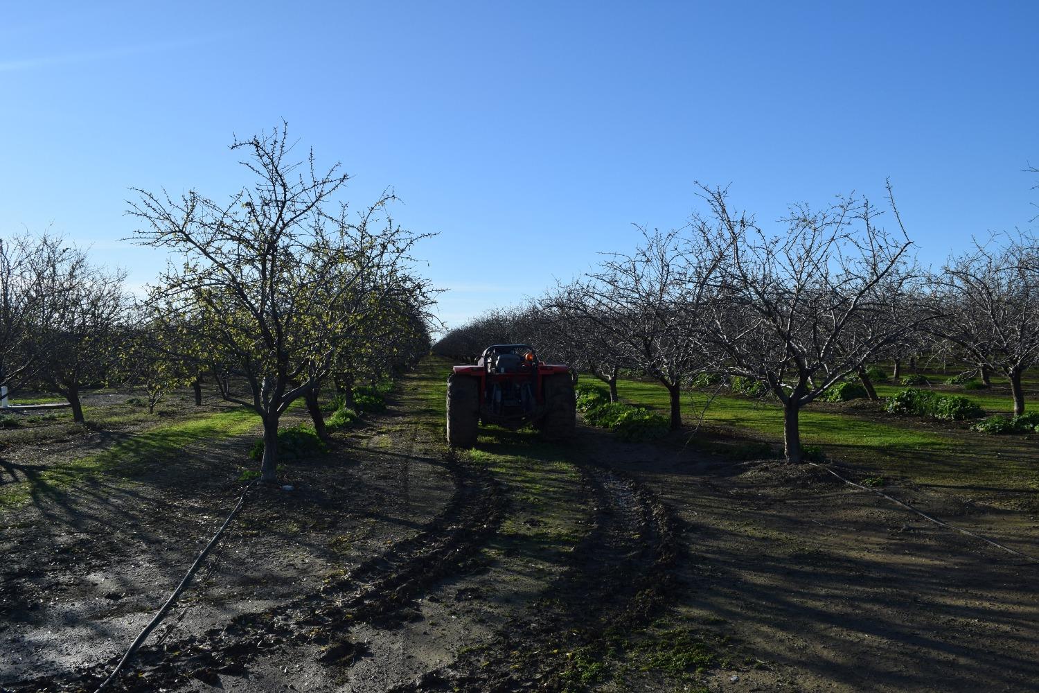 County Road 11, Esparto, California image 21