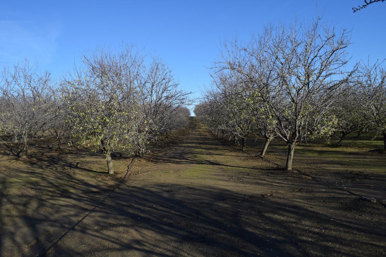 County Road 11, Esparto, California image 18