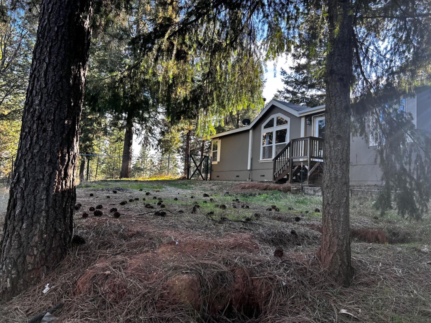 Old Emigrant Trail, Grass Valley, California image 3