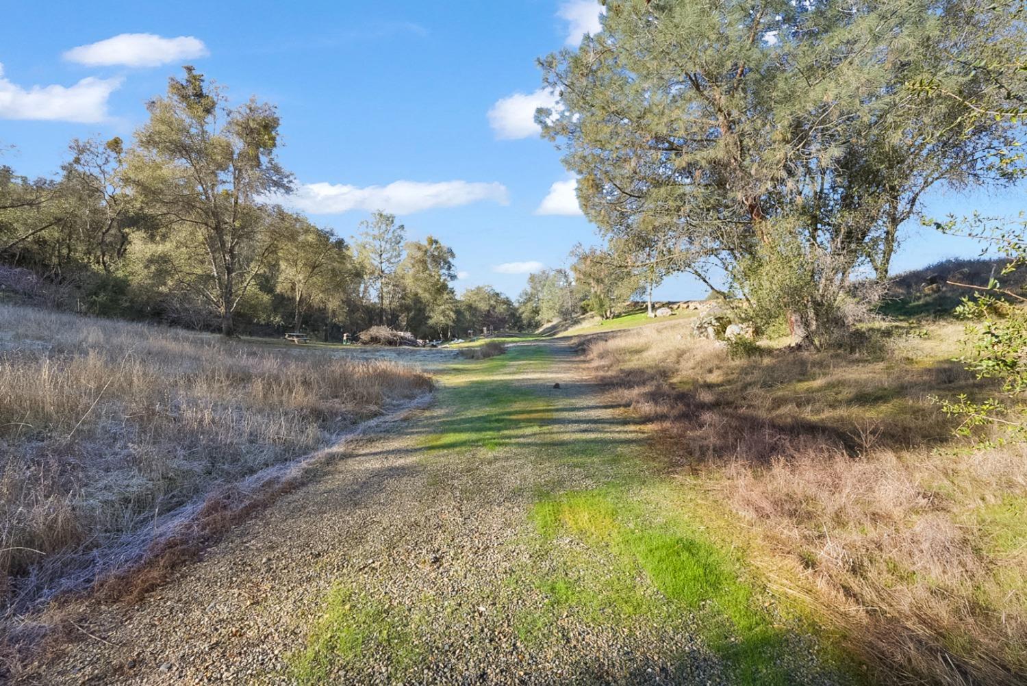 Blue Bonnet Lane, Mariposa, California image 29