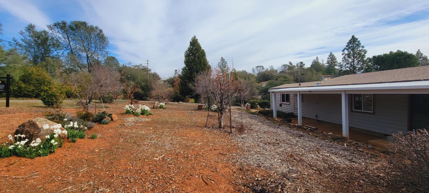 Joy Lane, Shingle Springs, California image 6