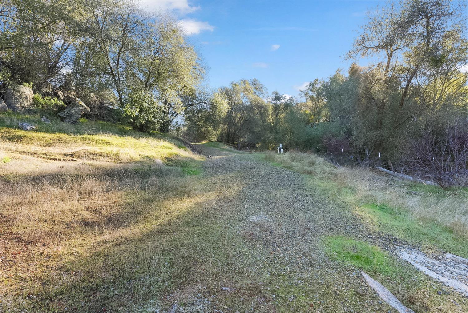 Blue Bonnet Lane, Mariposa, California image 24