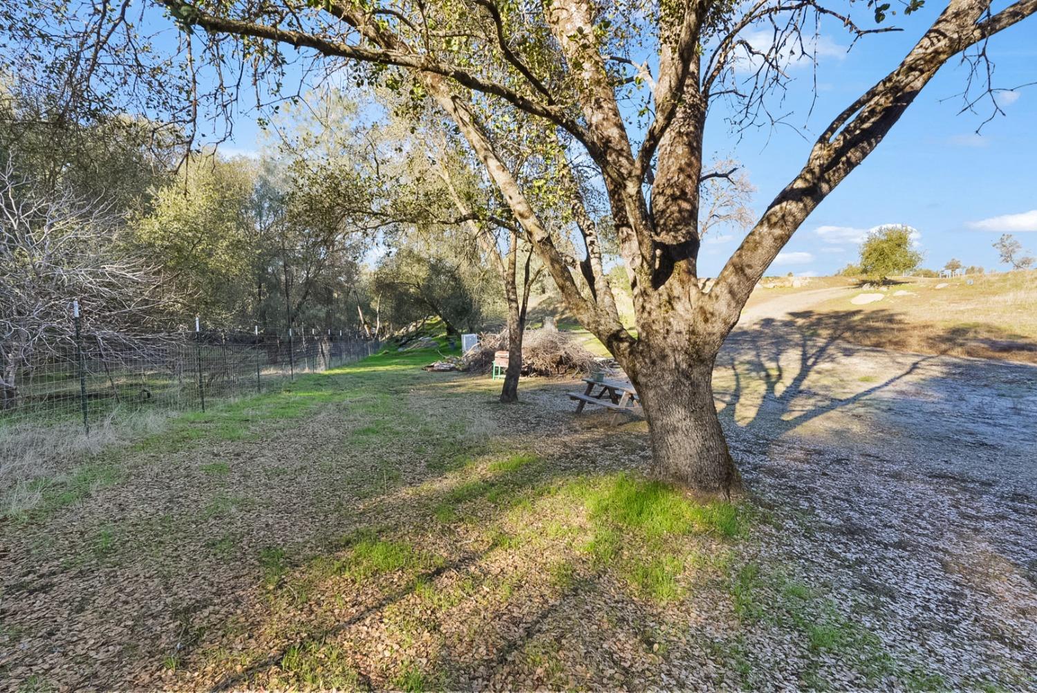 Blue Bonnet Lane, Mariposa, California image 27