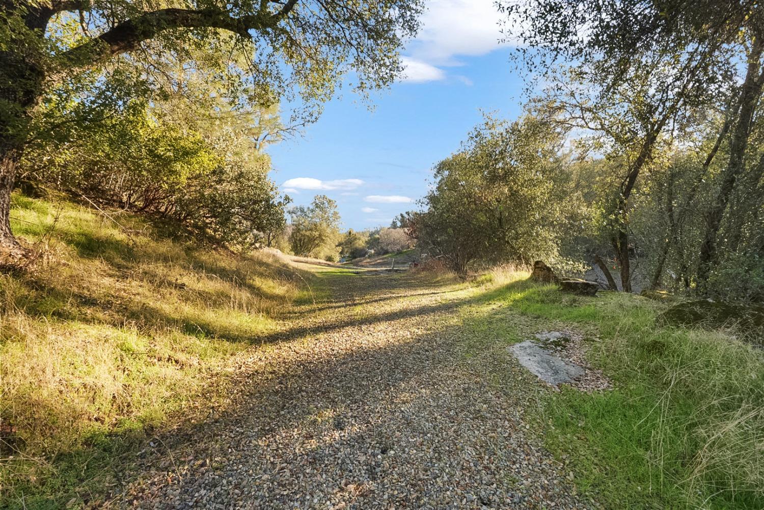 Blue Bonnet Lane, Mariposa, California image 22