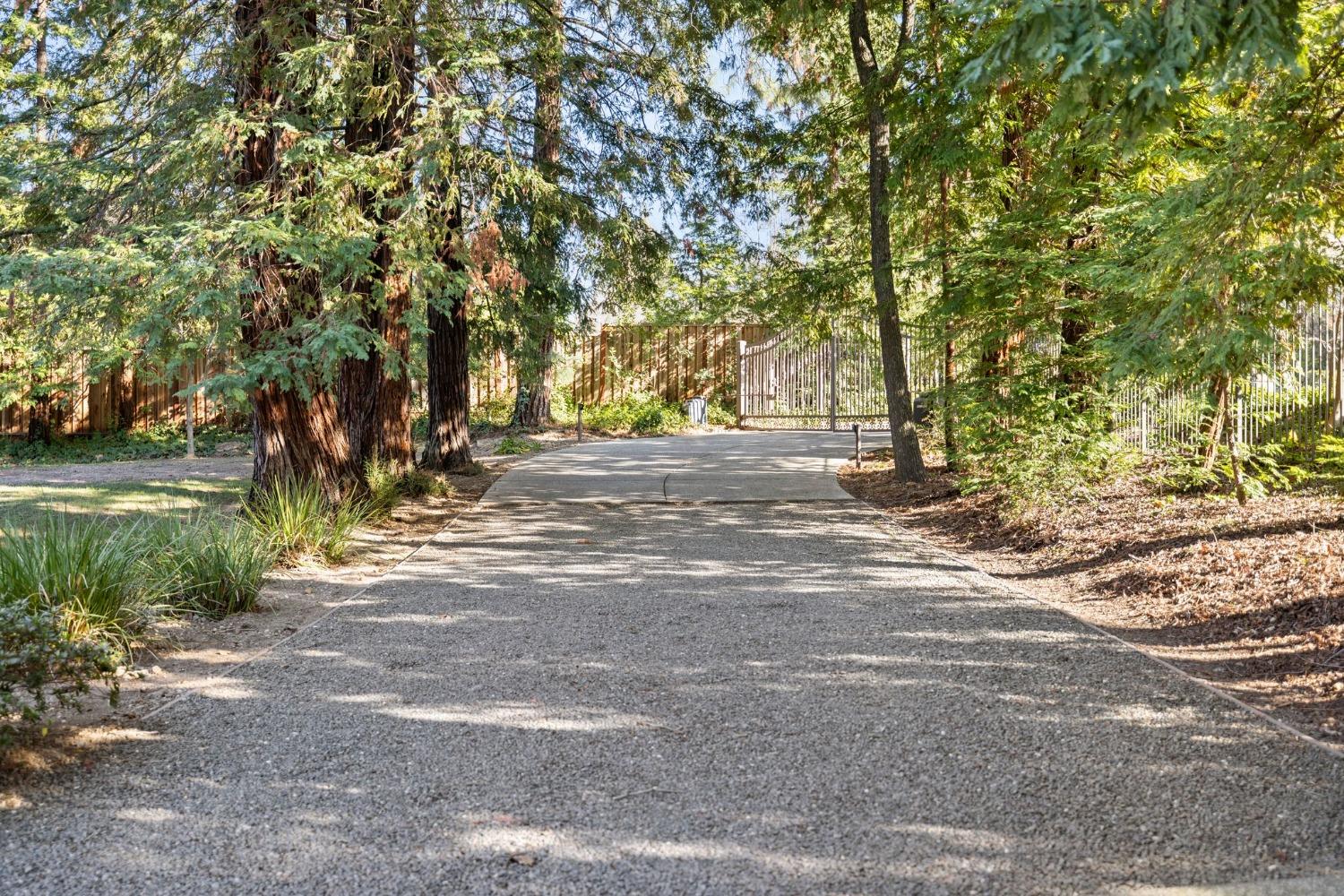 Stanley Avenue, Carmichael, California image 6