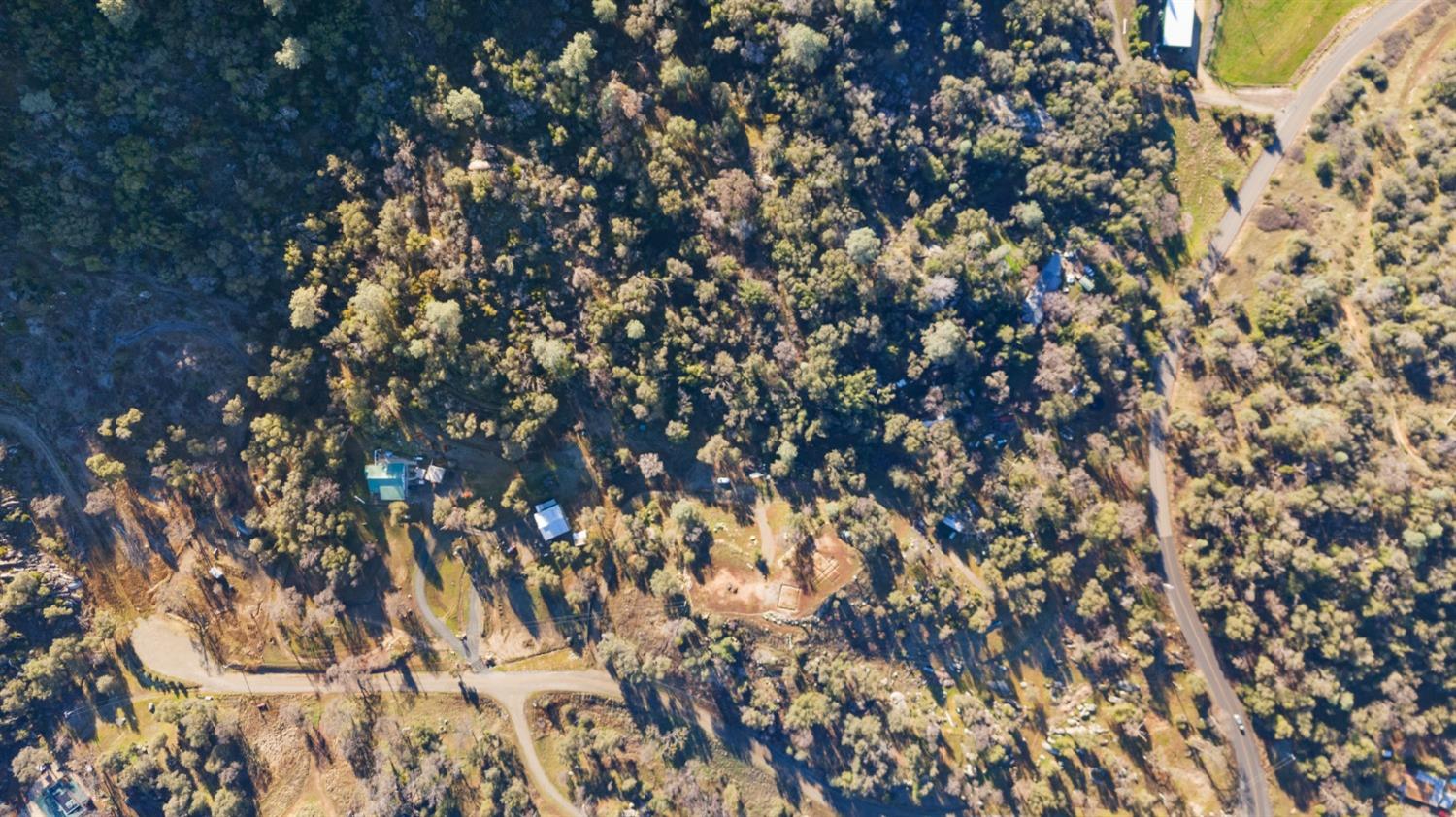 Blue Bonnet Lane, Mariposa, California image 15